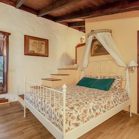 Сasa de vacaciones Casa Palmera Tacoronte